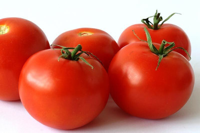 Avysa TOMATO,Tamatar Seed(800 per packet)