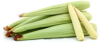 CRGO SWEETCORN , CORN , MAKKA Seed(50 per packet)