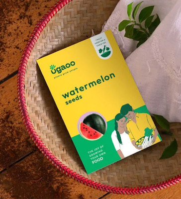 UGAOO Watermelon Fruit Seed(2 per packet)
