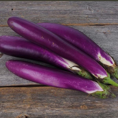 WILLVINE GBPUT-658 Eggplant Brinjal (Ping Tung Long Seeds) Seed(200 per packet)