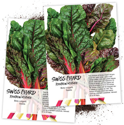 WILLVINE F1 Hybrid Rainbow Swiss Chard (Beta vulgaris) -200 Seeds Seed(200 per packet)