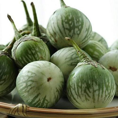 KNESSiN Hybrid BNB 421 F1 Brinjal Seeds-[5gm] Seed(1000 per packet)