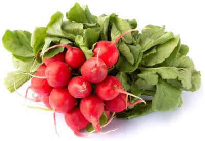 Aywal Radish Seeds - Gol Mooli Seed(750 per packet)