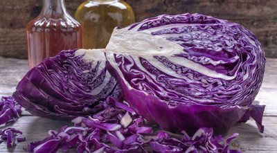 MYLAWN Cabbage Red Acre Giant Seed(100 per packet)