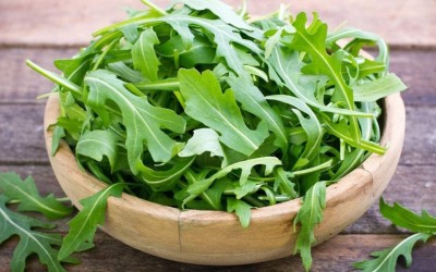 CYBEXIS PUAS-94 - Arugula Italian Cress Rocket - (750 Seeds) Seed(750 per packet)