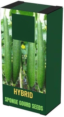 CYBEXIS LXI-73 - Sponge Gourd Organic F1 Hybrid - (100 Seeds) Seed(100 per packet)