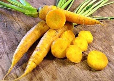 CYBEXIS XLL-52 - Yellowstone Carrot - (750 Seeds) Seed(750 per packet)