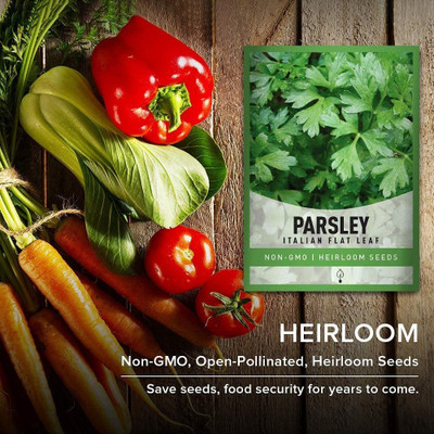 CYBEXIS VXI-53 - Flat Leaf Italian Parsley - (2250 Seeds) Seed(2250 per packet)