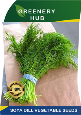 Greenery Hub Soya Dill Seeds - Grow Aromatic and Nutritious Herbs at Home! Seed(100 per packet)