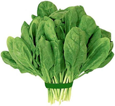 LIFELEX Hybrid Palak Spinach Seed(75 per packet)