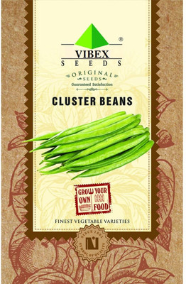 WILLVINE Cluster Beans Seeds Seed(1000 per packet)