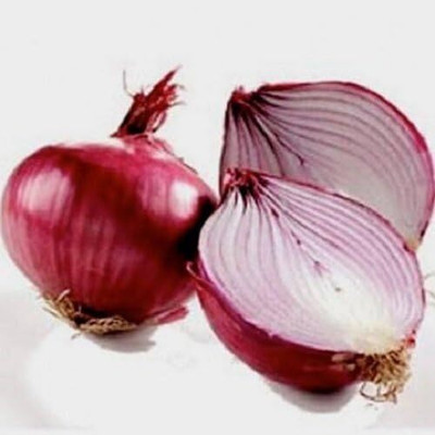 KNESSiN Red Onion Seed(200 per packet)