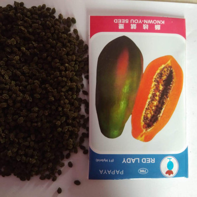 Cosmos Fresh Red Lady Hybrid Papaya Fruit Seed(100 per packet)