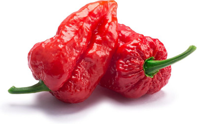 Biosnyg F1 Hybrid Ghost Pepper Bhut Jolokia Seeds For Planting-(4000 Seeds) Seed(4000 per packet)