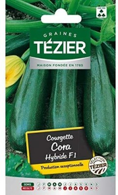 CYBEXIS Courgette Cora HF1 Zucchini100 Seeds Seed(100 per packet)