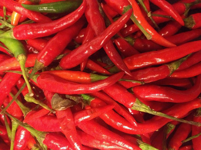 Qualtivate EXL-4AT Hanoi Red–Vietnamese Chilli Seed(300 per packet)