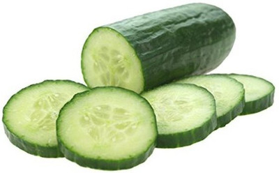 Quentova Cucumber Intimidator F1 Seed-CuC_1029 Seed(200 per packet)