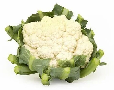 KNESSiN XIV-57 Pant Gobhi-2 Cauliflower Seed(500 per packet)