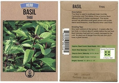 KNESSiN Basil Seed(1250 per packet)