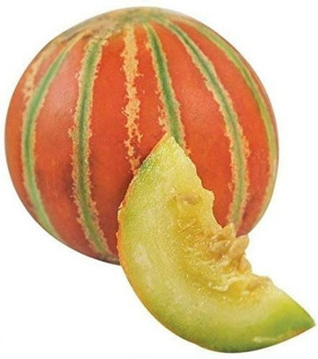 Cloud Farm Kajri Muskmelon (Kharbuja)/खरबूजे के बीज Seed(200 per packet)
