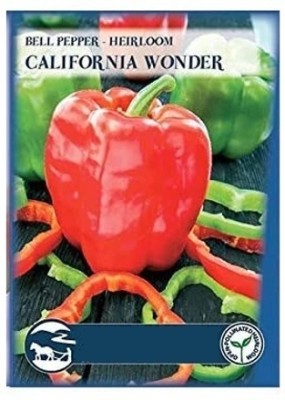 KNESSiN Capsicum California Wonder Seed(400 per packet)