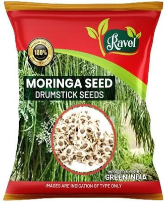 ravel moringa seed Ravel moringa drumstick seed, Moringa oleifera seed pack of 250g Seed(1000 per packet)