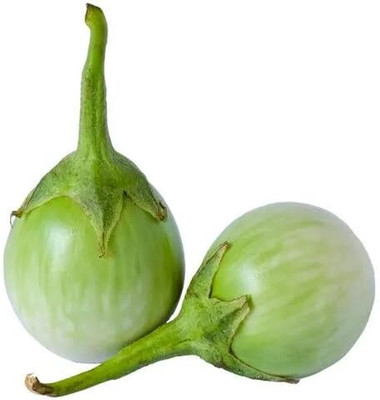 Biosnyg Brinjal Green Round Vegetable (400 Seeds) Seed(400 per packet)