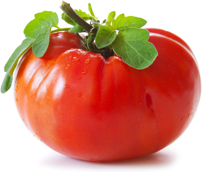 CEZIUS All Season Vegetable GOLIATH TOMATO Seed(250 per packet)