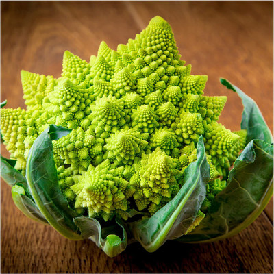 WILLVINE HUA-577 Romanesco Variety Broccoli Seeds Seed(200 per packet)