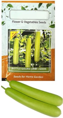 VibeX Kashi Ganga Bottle gourd-(50 Gms, 250 Seeds) Seed(250 per packet)