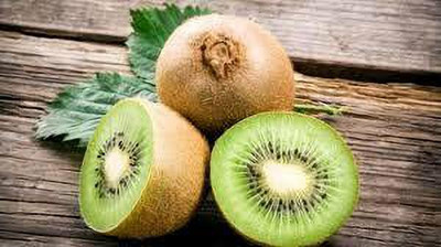 XOLDAA KIWI FRUIT SEEDS HYBRID F1 QUALITY Seed(94 per packet)