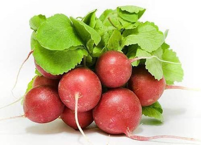 CYBEXIS Fast Germination CHERRY BELLE Radish Seeds600 Seeds Seed(600 per packet)