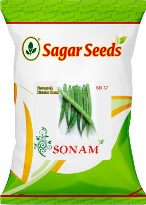 Pbevergreen SONAM CLUSTER BEAN Seed(105 per packet)