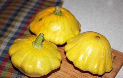 KNESSiN Hybrid Patty Pan Scallop Squash Seeds for Terrace Gardening - (40 Seeds) Seed(40 per packet)