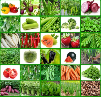 abiswas Hybrid summer vegetable seeds 20 variety combo pack Seed(2000 per packet)