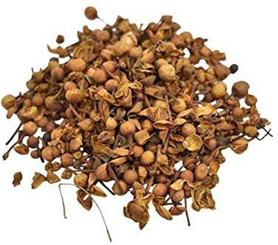 ENINE Nagkesar nagkeshar seeds Ceylon ironwood nagkesar Seeds 150 Seeds DE53 Seed(150 per packet)
