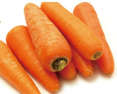 ZIFR Orange Carrot Gajar Seed(1000 per packet)