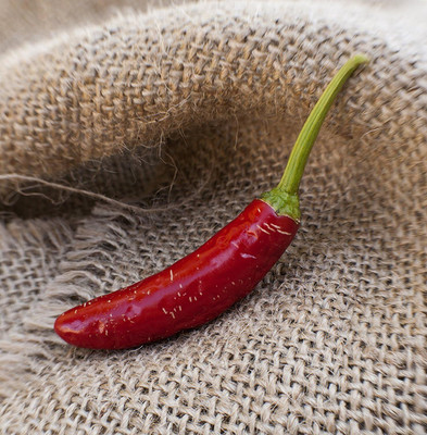 Qualtivate RES-7A Serrano Heirloom Chilli Pepper Seed(300 per packet)