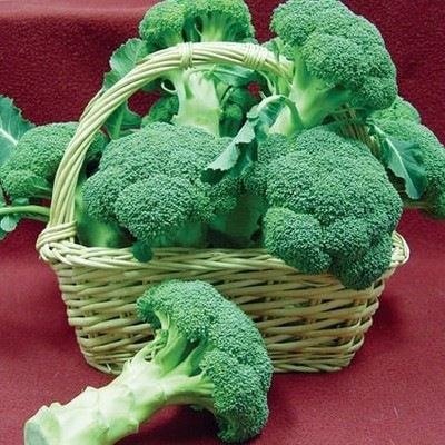 Aro Broccoli Seed(85 per packet)