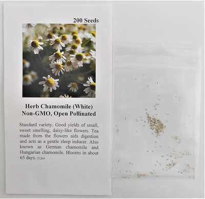 CYBEXIS PAU-28 - Chamomile Roman (Anthemis nobilis) - (250 Seeds) Seed(250 per packet)