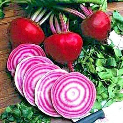 CYBEXIS Seeds of Vegetable Beetroot Chioggia2000 Seeds Seed(2000 per packet)