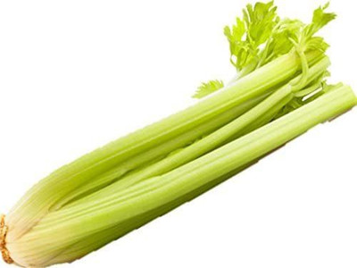 CYBEXIS PUAS-94 - Green Leaf Stalk Celery Celeriac - (750 Seeds) Seed(750 per packet)
