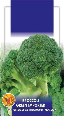 CYBEXIS LX-81 - Winter Broccoli - (1350 Seeds) Seed(1350 per packet)