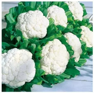 Aro Cauliflower, Gobi Seed(300 per packet)