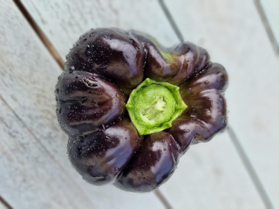 Biosnyg Disease-Resistant Black Beauty Capsicum Seeds For Planting-(800 Seeds) Seed(800 per packet)