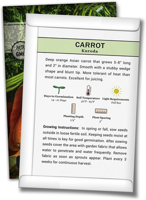 WILLVINE ® Kuroda Carrot Seeds Seed(500 per packet)
