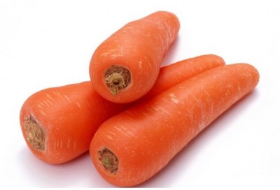 CYBEXIS Wanganui Giant Imported Carrot Variety1000 Seeds Seed(1000 per packet)