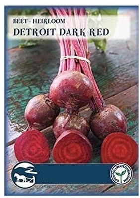KNESSiN Beetroot Detroit Dark Red Seed(200 per packet)