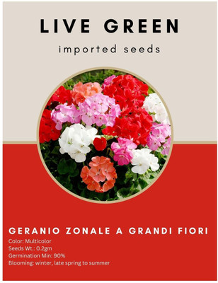 Udanta Live Green Imported Seed-Geranium Geranio Zonale Grandi Mix Flower 0.2gm Seed(1 per packet)