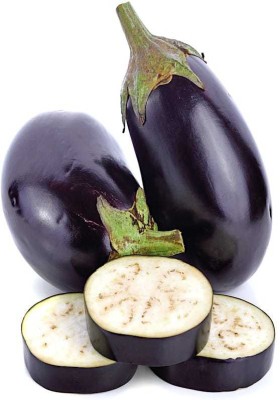 Oliver F1 quality hybrid brinjal seeds Seed(137 per packet)